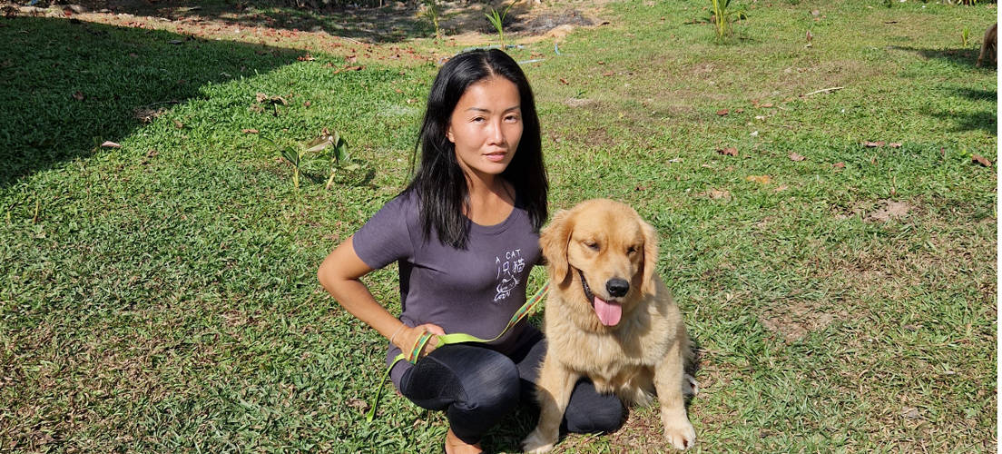 Professional Dog Trainer in Phuket